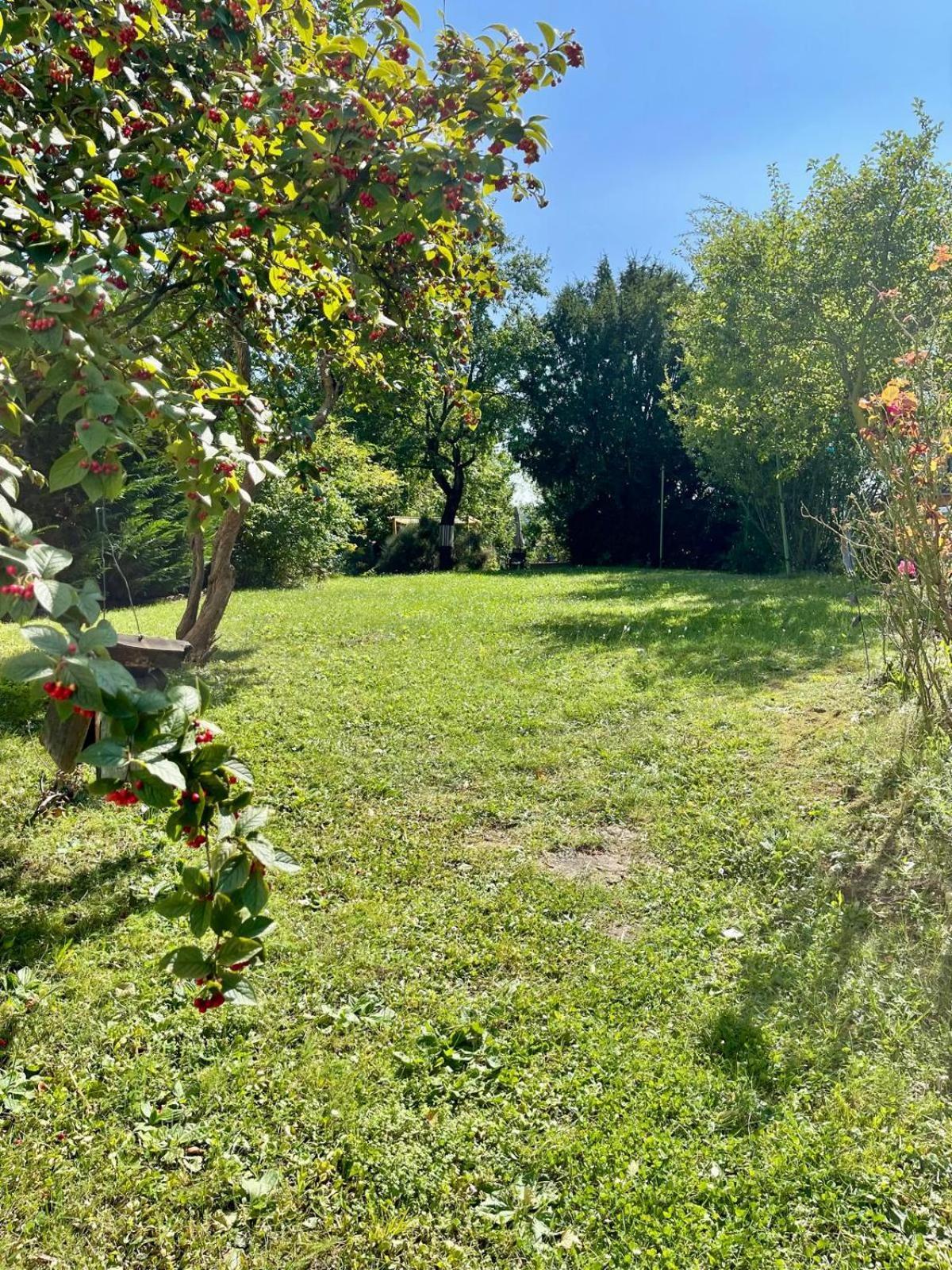 קאסל Raha Apartments - Ihr Komfortables Zuhause - Garten - Vollausstattung - Balkon - Parkplatz מראה חיצוני תמונה